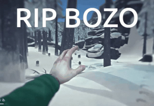 Hand Reaching Towards Snowy Forest Rip Bozo GIF