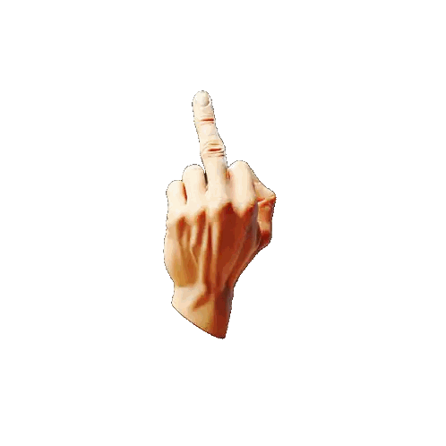 Hand Showing Middle Finger