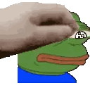 Hand Touching Frog's Face