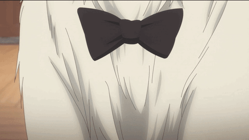 Hand Touching Person's Black Bow Tie GIF