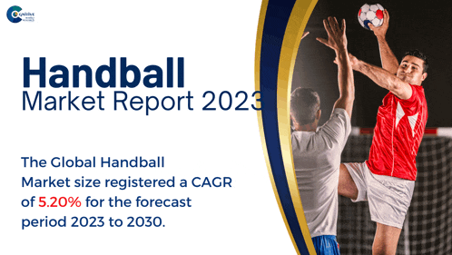 Handball Market Report 2024 Meme GIF