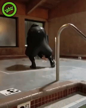 Handball Player Wearing Suit GIF