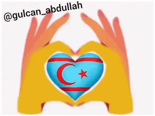 Hands Making Heart With Turkey Flag