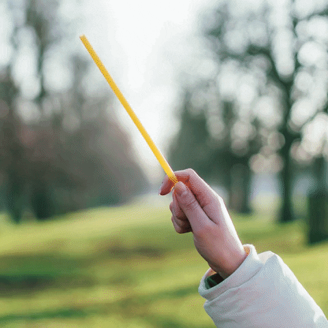 Hands With Harry Potter Magic Wand With Nature Background GIF