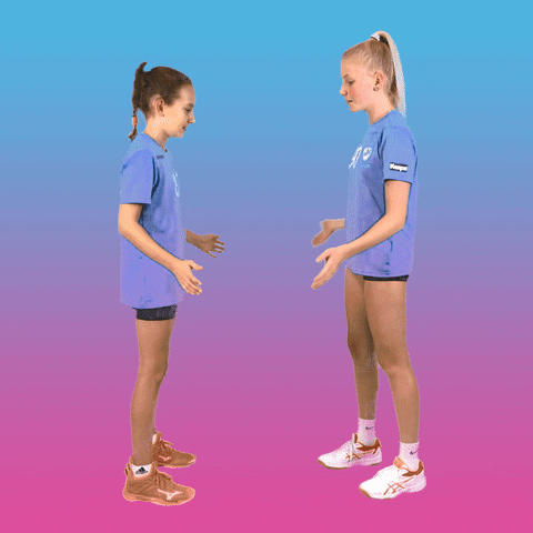 Handshake From Slovenia GIF