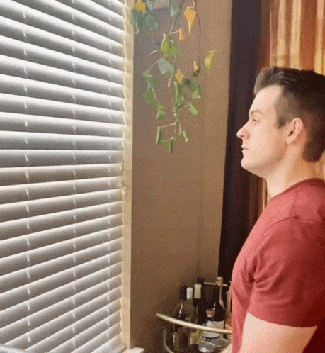 Handsome Boy Looking Out The Window GIF