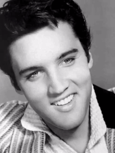 Handsome Elvis Varied Image Compilation GIF