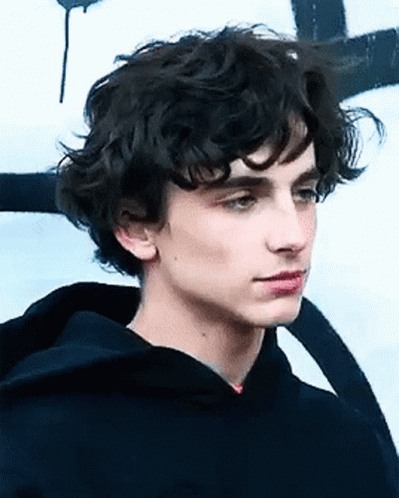 Handsome Guy Timothée Chalamet GIF