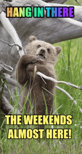 Over the week end. Hang in there.