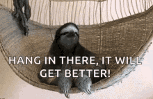 Hang In There In Hammock Chill Sloth GIF
