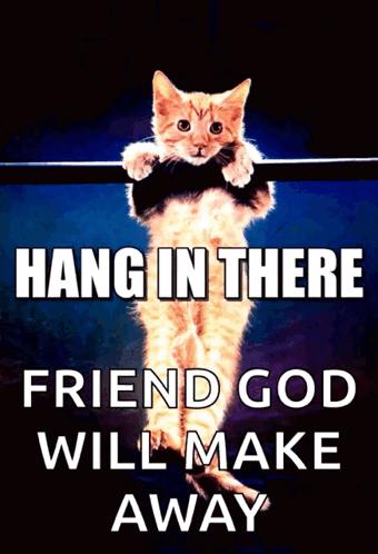 Hang In There Made It Through Monday GIF