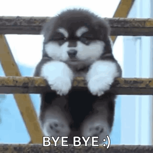 Hanging Puppy Byeeee GIF