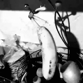Hanging Swaying Banana Black And White GIF