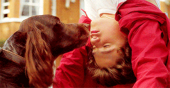 Hanging Upside Down Bradley Simpson GIF