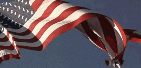 Hanging Usa Flag GIF