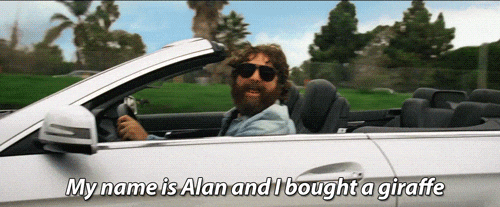 Hangover Alan Bought Giraffe For Mr Chow GIF