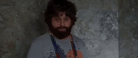 Hangover Alan Stupid Tiger Of Mr Chow GIF
