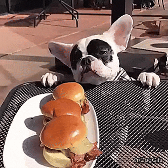 Hangry Bully Reaching For Burger GIF