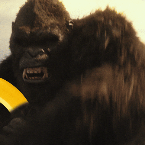 Hangry Grumpy Gorilla Going Ballistic GIF