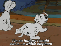 Hangry Little Dalmatian Puppy GIF