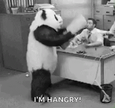 Hangry Panda Flipping Out GIF