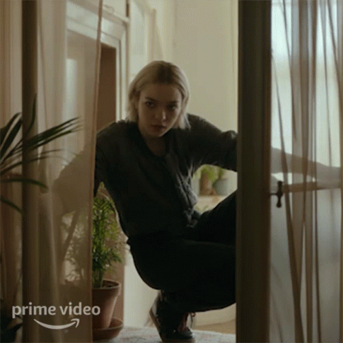 Hanna Petrescu Sneaking In Through Window GIF