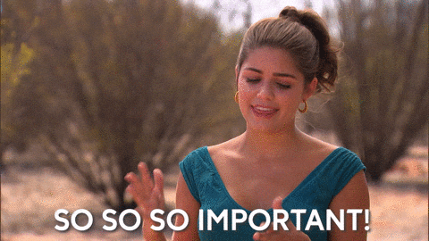 Hannah Ann Sluss Very Important GIF