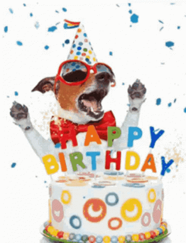Happy 1st Birthday Dog With Shades GIF