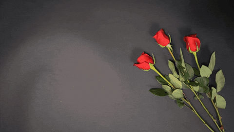 Happy 25th Anniversary Red Roses GIF