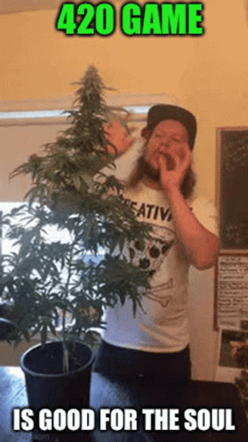 Happy 420 GIF