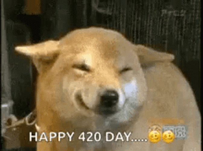 Happy 420 GIF