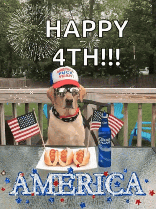 Happy 4Th American Dog GIF