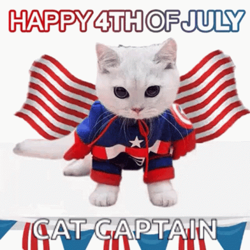 Happy 4th Cat Captain Flag Cape GIF