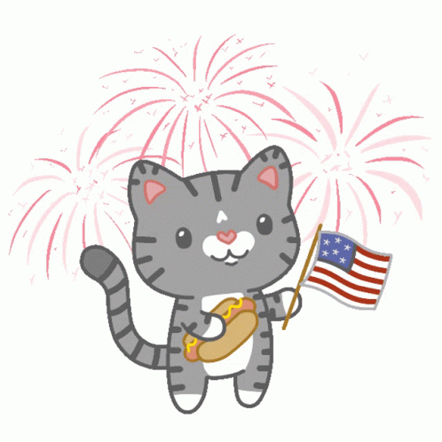 Happy 4th Cat Fireworks Display Animation GIF