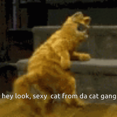 Happy 4th Cat Garfield Dancing GIF