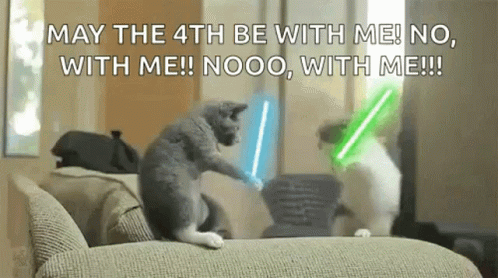 Happy 4th Cat Light Saber Sword Fight GIF