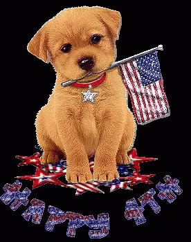 Happy 4th Golden Retriever GIF