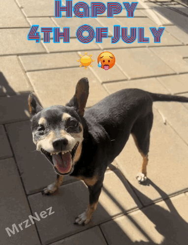 Happy 4th Of July Black Dog GIF