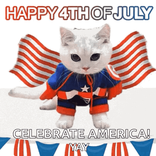 Happy 4th Super Hero Cat Flags Waving GIF