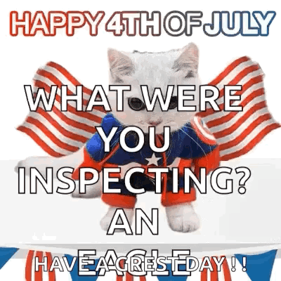 Happy 4th Superhero Cat Eagle Meme GIF