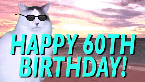 Happy 60th Birthday Cat In Disco Ball GIF