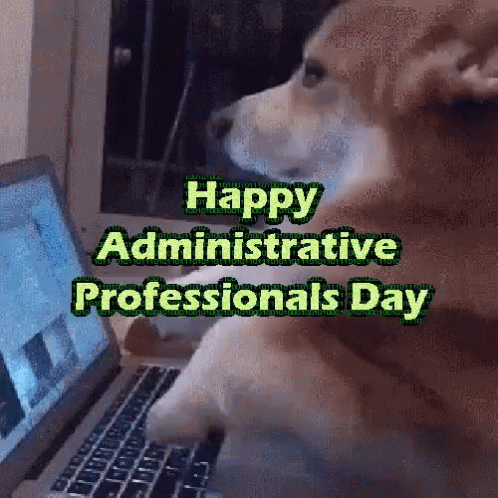 Happy Admin Day Dog Typing Fast On Laptop GIF