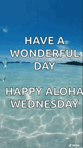 Happy Aloha Wednesday Ocean Background