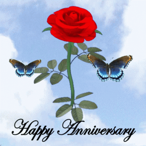 Happy Anniversary Butterflies And Rose GIF