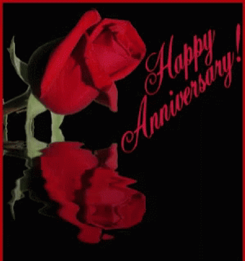 Happy Anniversary Red Rose GIF