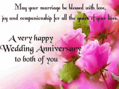 Happy Anniversary Wishes Meme GIF