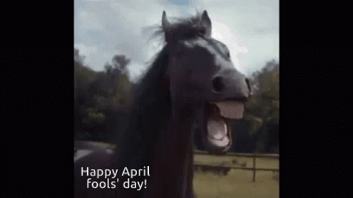 Happy April Fools Day Horse GIF