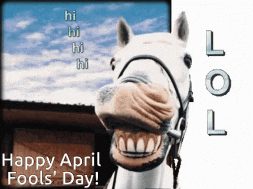 Happy April Fools Day Lol GIF