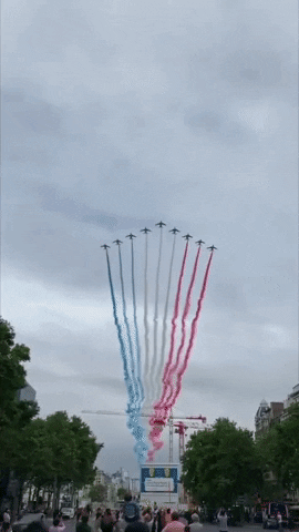 Happy Bastille Day French Air Force Flag Colors GIF