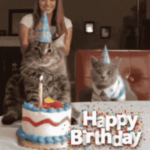 Happy Bday Kitty Cake GIF
